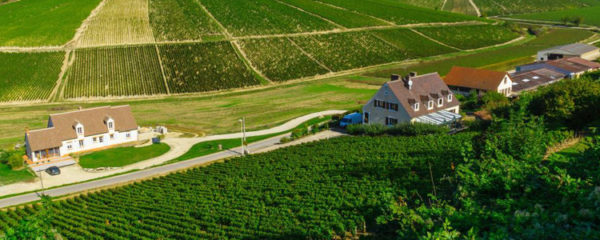 Tourisme à Chablis